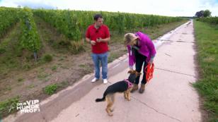 Barbara und Chica wagen einen neuen Schritt Barbara und Chica wagen einen neuen Schritt
