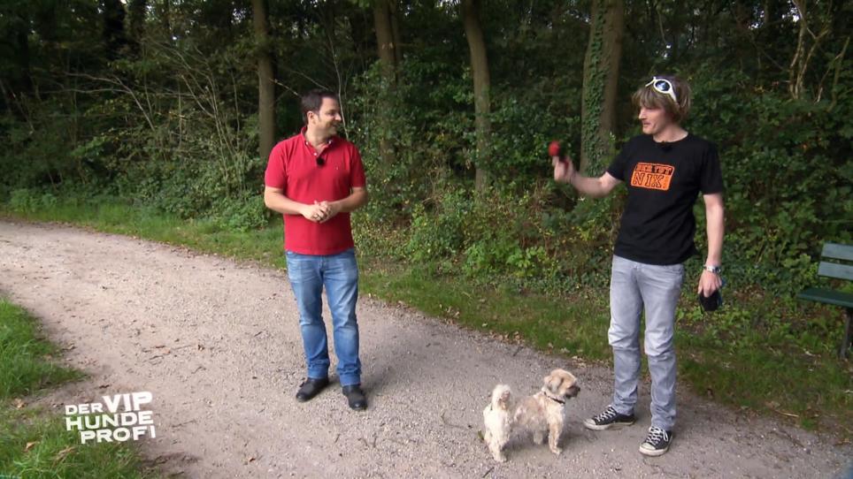 Kleiner Fortschritt bei Mickie und Timmy? Kleiner Fortschritt bei Mickie und Timmy?