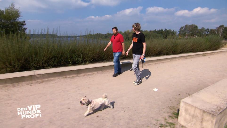 Herrchen und Trainer sind mit Timmy zufrieden Herrchen und Trainer sind mit Timmy zufrieden
