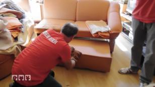 Das Fangen der 8 Katzen ist nicht leicht Das Fangen der 8 Katzen ist nicht leicht