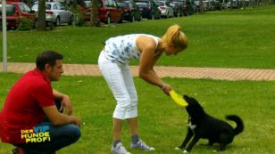 Frisbee-Training mit Lotte Frisbee-Training mit Lotte