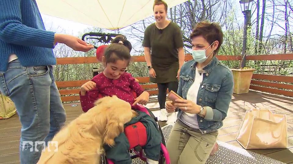 Wie pflegt man seinen Hund am besten Zuhause? Wie pflegt man seinen Hund am besten Zuhause?