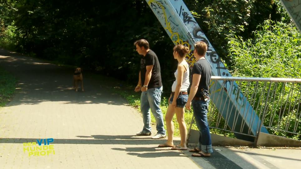 Shari und André haben ein weiteres Anliegen Shari und André haben ein weiteres Anliegen