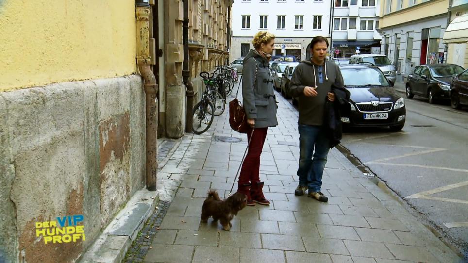 Klefft Coco aus Langeweile? Klefft Coco aus Langeweile?