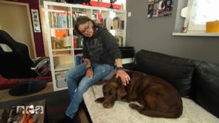 Die Behandlungen für Petras Hund sind teuer Die Behandlungen für Petras Hund sind teuer