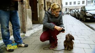 Verena Kerths Hund langweilt sich Verena Kerths Hund langweilt sich