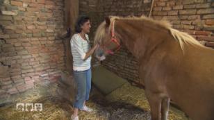 Nina zu Gast in Bayern Nina zu Gast in Bayern