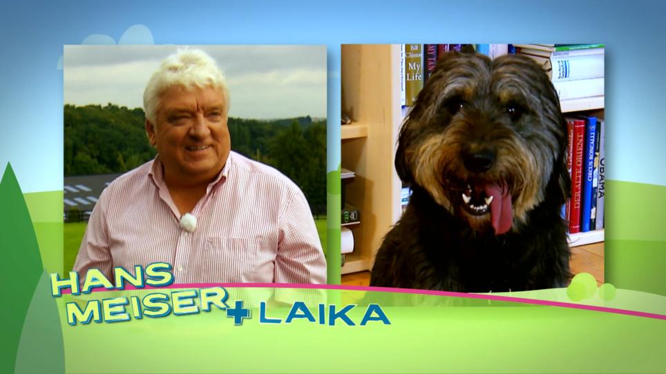 Traning mit Hans Meisers Hündin Laika Traning mit Hans Meisers Hündin Laika