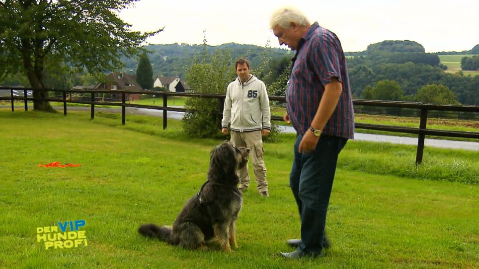 Gleiche Wellenlänge bei Hund und Herrchen Gleiche Wellenlänge bei Hund und Herrchen