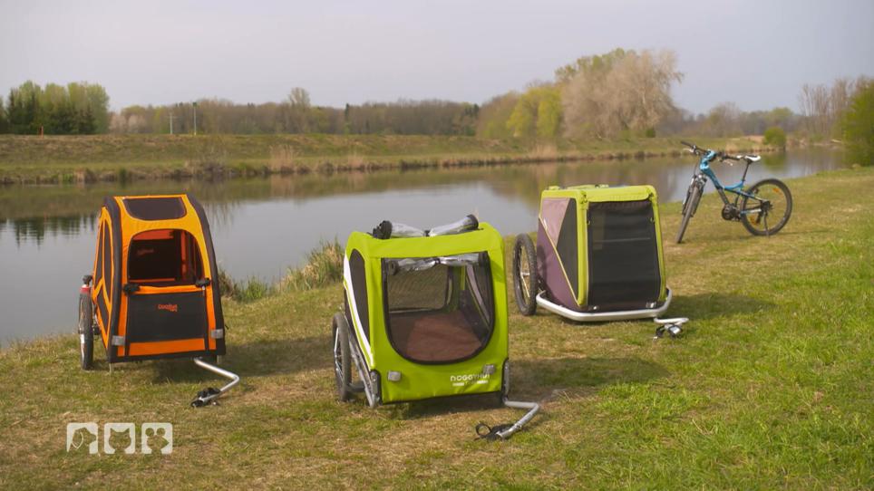 Welches Modell passt für eine Radtour mit Hund? Welches Modell passt für eine Radtour mit Hund?