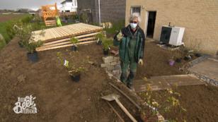 Kleiner Garten, viele Pflanzen Kleiner Garten, viele Pflanzen