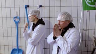 Wird Joey Kelly zum Vegetarier? Wird Joey Kelly zum Vegetarier?