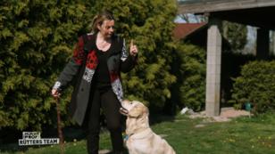 Charlie der Therapiehund Charlie der Therapiehund