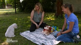 Seven hat sich durchgesetzt Seven hat sich durchgesetzt