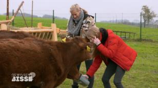 Gefüttert wird immer aus der Hand Gefüttert wird immer aus der Hand