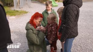 Bei den Babyschweinen schmelzen die Herzen Bei den Babyschweinen schmelzen die Herzen