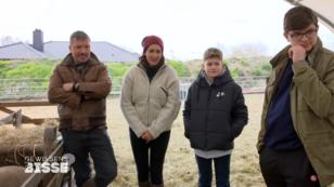 Die Krügers besuchen ihren Schäfer Die Krügers besuchen ihren Schäfer