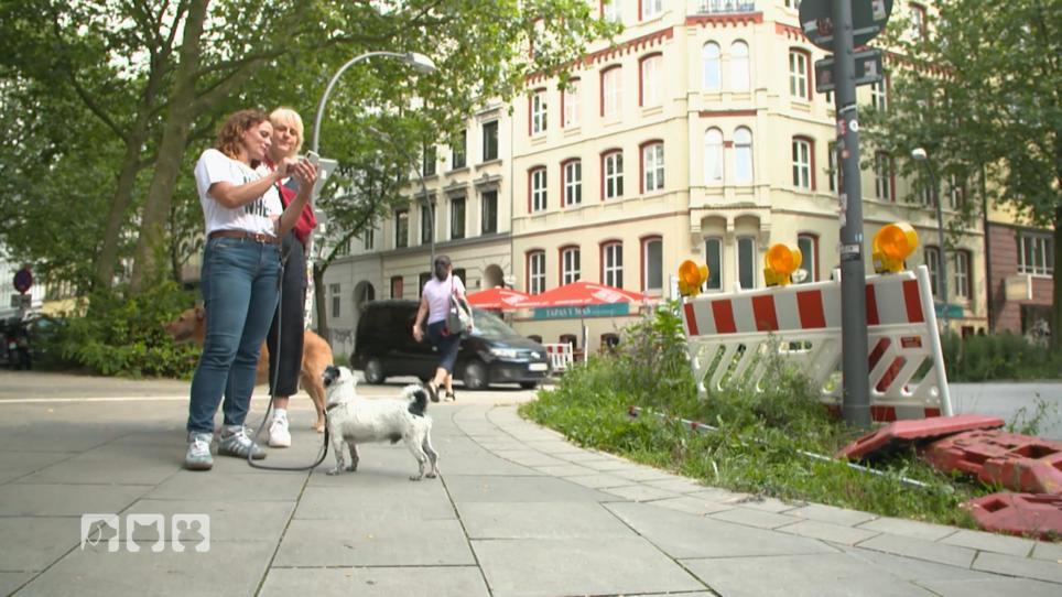 Lebt ein Hund in der Großstadt hundegerecht? Lebt ein Hund in der Großstadt hundegerecht?
