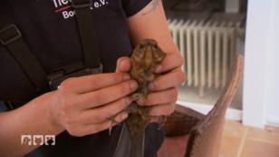 Der Tiernotruf Bocholt ist unterwegs zum ersten Notfall Der Tiernotruf Bocholt ist unterwegs zum ersten Notfall