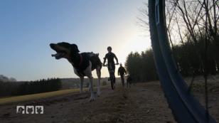 Die coolsten Hundesportarten Die coolsten Hundesportarten