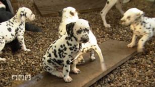 Das sind die niedlichsten Tierbabys Das sind die niedlichsten Tierbabys