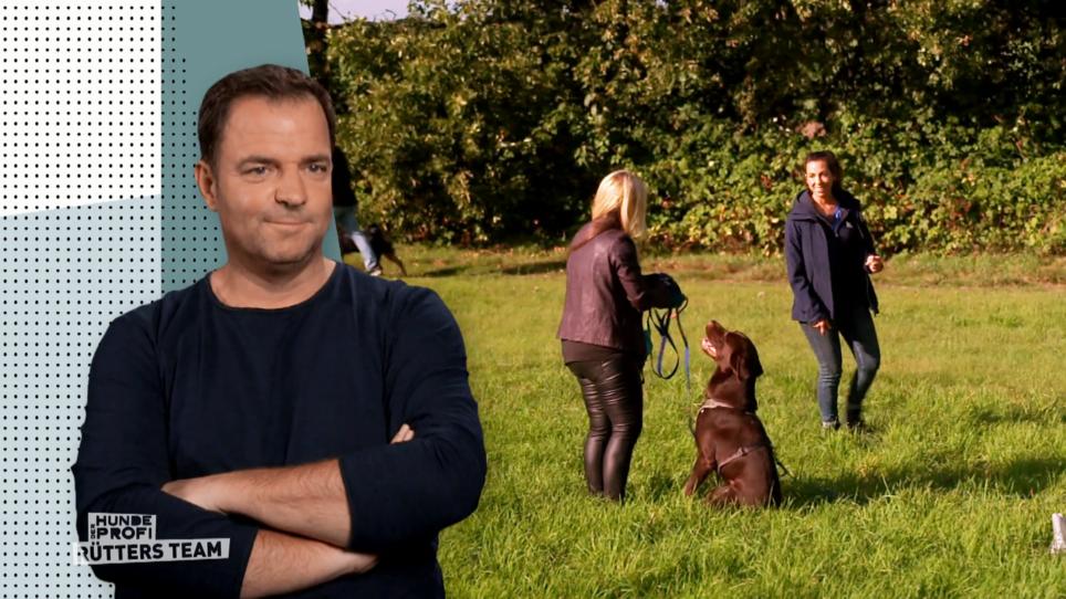 Jackson hat sich seine Freiheit verdient! Jackson hat sich seine Freiheit verdient!