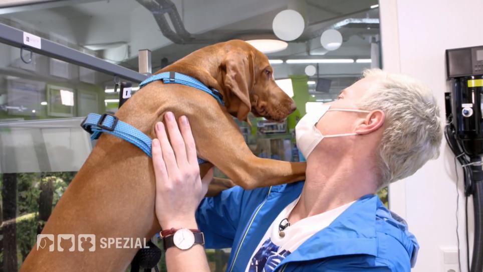 Spannender Termin für Mo Spannender Termin für Mo