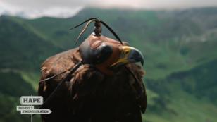 Der König der Lüfte Der König der Lüfte