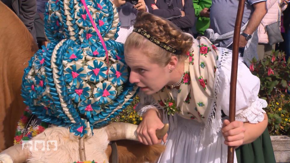 "Kuhflüsterin" Helena muss ihre Leitkuh beruhigen "Kuhflüsterin" Helena muss ihre Leitkuh beruhigen