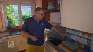 Rainer hat sich adelige Unterstützung geholt Rainer hat sich adelige Unterstützung geholt