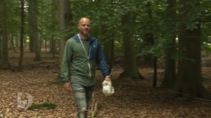 Mit Daniel kann man gut in die Pilze gehen Mit Daniel kann man gut in die Pilze gehen