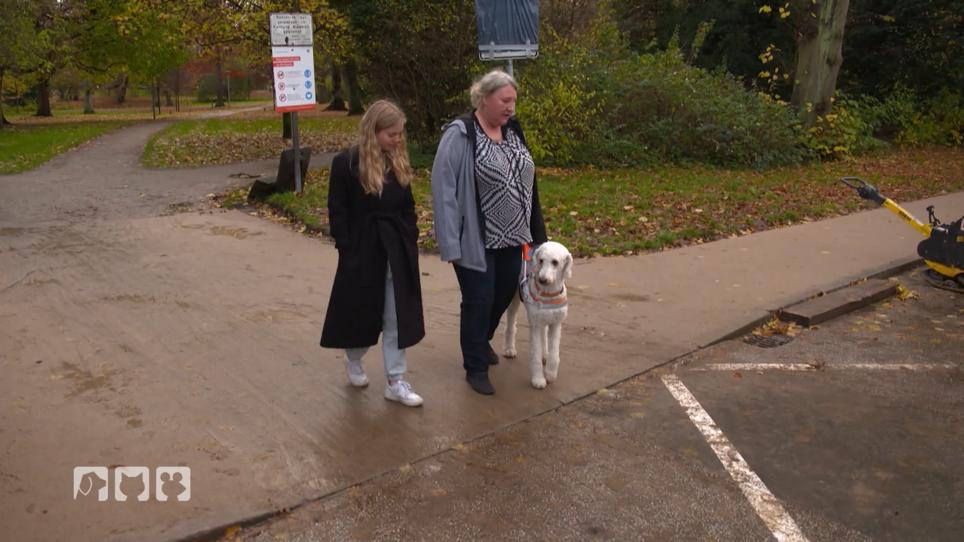 Eine Herausforderung für Blindenhund Mina ? Eine Herausforderung für Blindenhund Mina ?