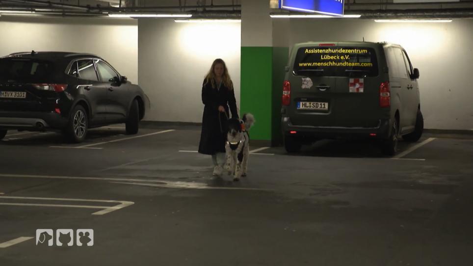 Du musst dich durchsetzen Du musst dich durchsetzen