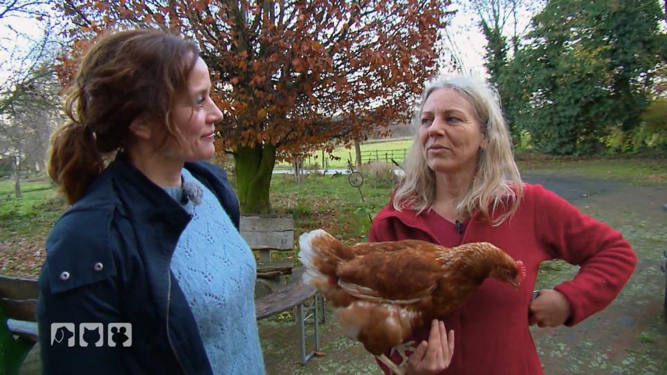 Nina Steigerwald trainiert Hühner für einen Parcours Nina Steigerwald trainiert Hühner für einen Parcours