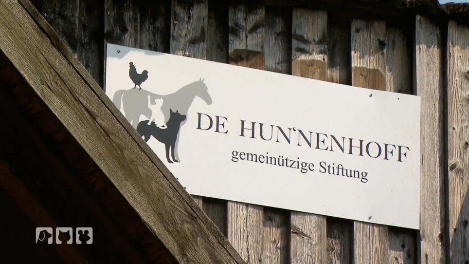 Im Hunnenhoff werden Tiere aufgenommen Im Hunnenhoff werden Tiere aufgenommen