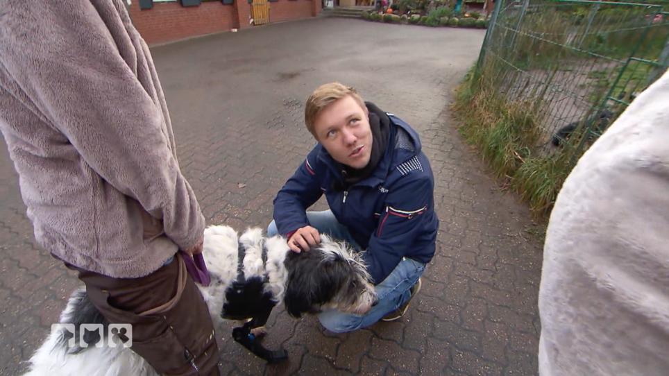 Rüde bekommt Hundeprothese Rüde bekommt Hundeprothese