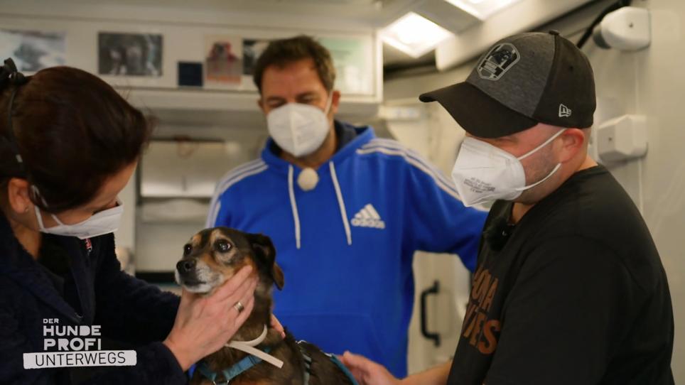 Im umgebauten Rettungswagen Tiere retten Im umgebauten Rettungswagen Tiere retten