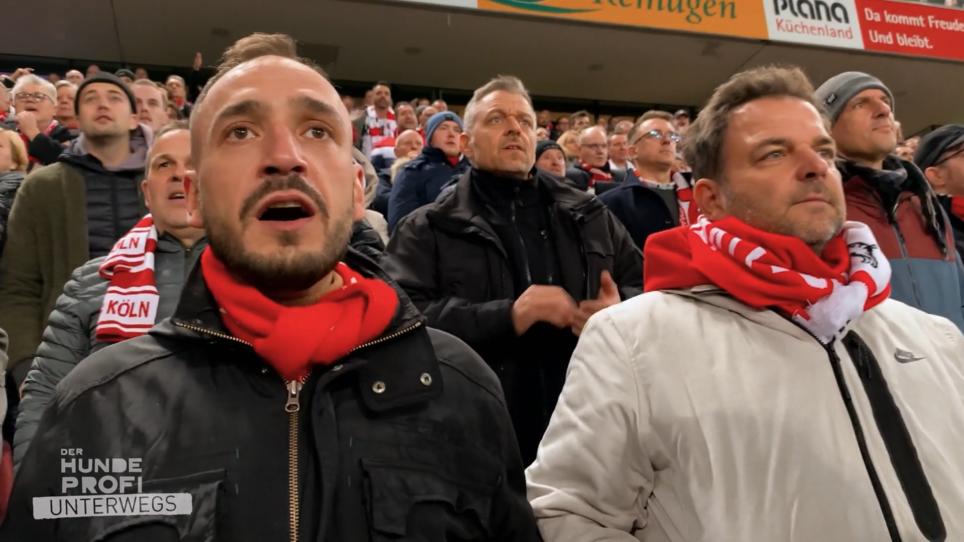 Martin Rütter trifft seinen Schützling wieder Martin Rütter trifft seinen Schützling wieder