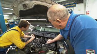 Seat Ibiza wird untersucht Seat Ibiza wird untersucht