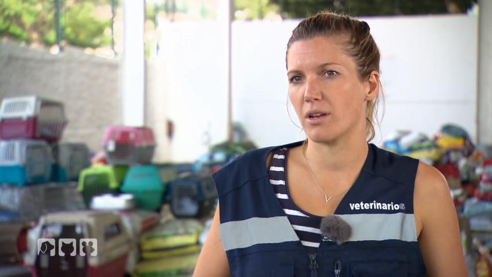 Mobile Tierärztin rettet Tiere Mobile Tierärztin rettet Tiere