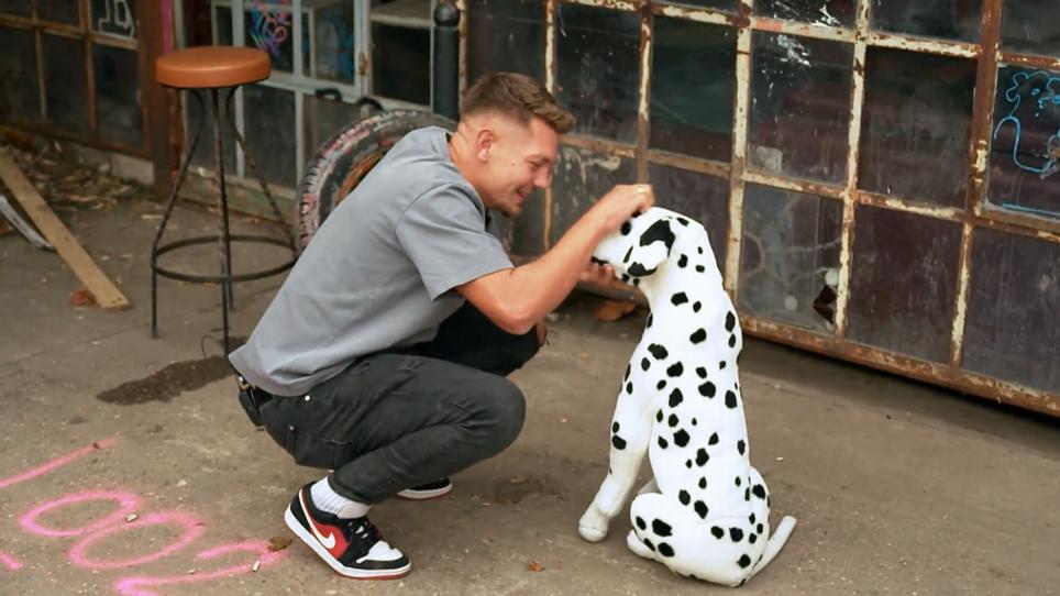 Können Hunde eifersüchtig werden? Können Hunde eifersüchtig werden?