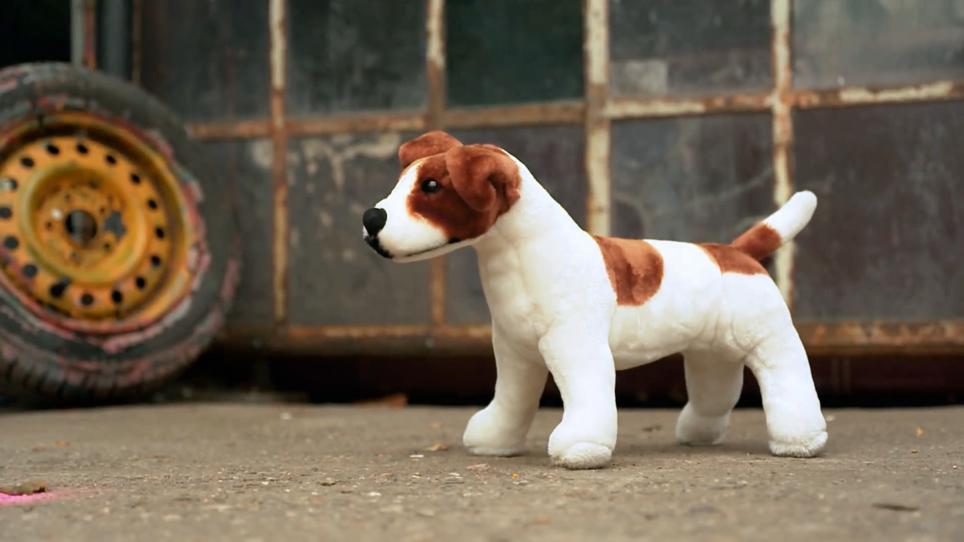 Nicht alle Hunde reagieren gleich Nicht alle Hunde reagieren gleich