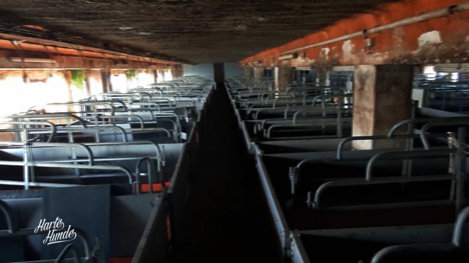 Der blanke Horror Der blanke Horror