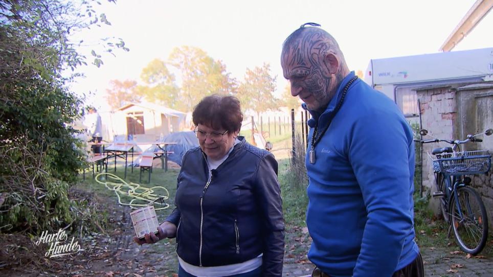 Frisch kastriert nach Hause kommen Frisch kastriert nach Hause kommen