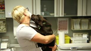 Ein Aufregender Tag für Balou Ein Aufregender Tag für Balou