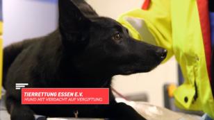 Unbekannte Ursachen Unbekannte Ursachen