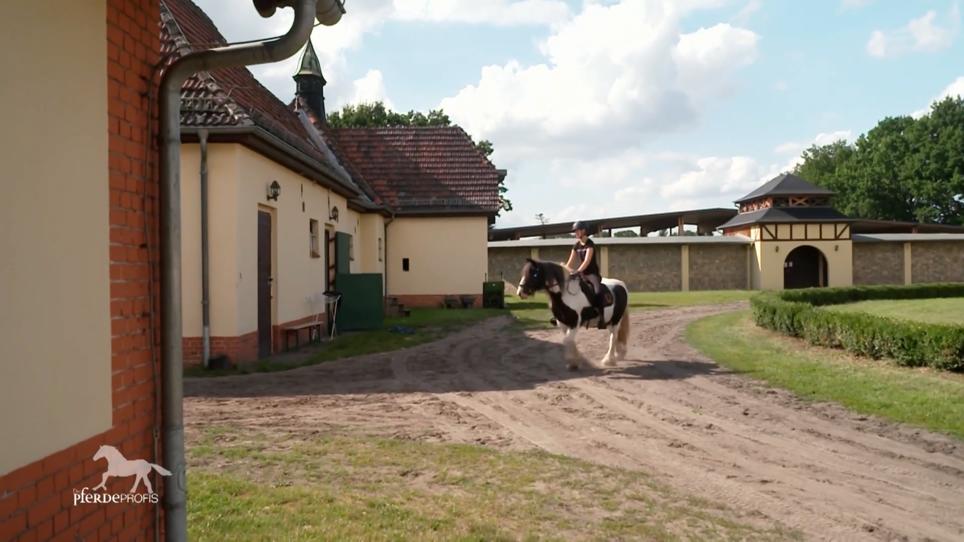 Der erste Ausritt ins Gelände Der erste Ausritt ins Gelände