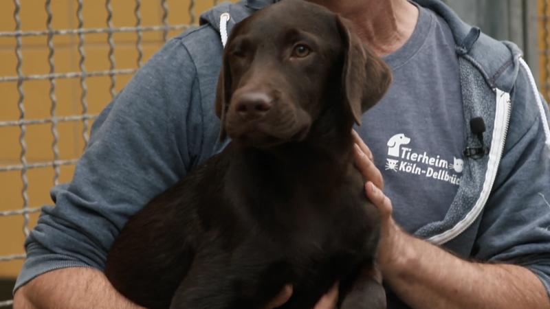 Familie Ibraim und ihr Welpe aus dem Tierheim Dellbrück