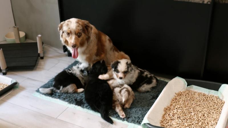 Familie Bettendorf und ihr kleiner Privat-Zoo