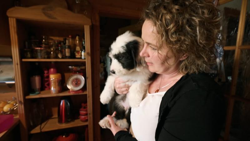 Balou ist noch nicht ganz stubenrein